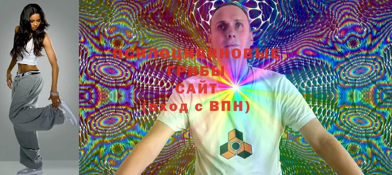 Псилоцибиновые грибы Magic Shrooms  Кузнецк 